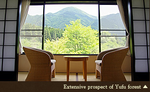 Extensive prospect of Yufu forest